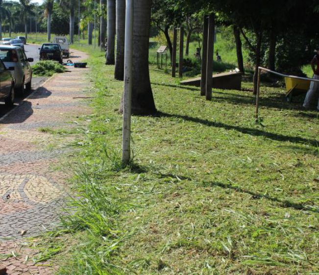Prefeitura retoma serviços de roçagem e limpeza urbana.